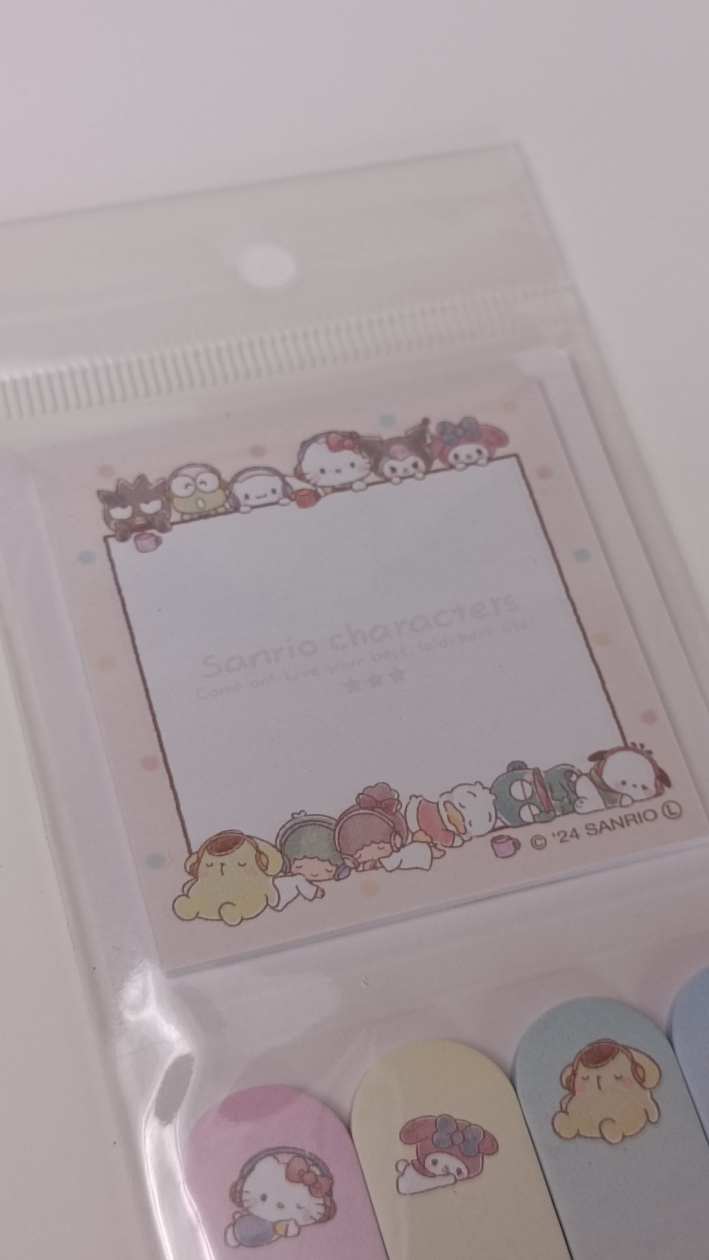 SANRIO CHARACTERS ~ SANRIO // INDEX STICKY NOTES & MEMO PAD SET