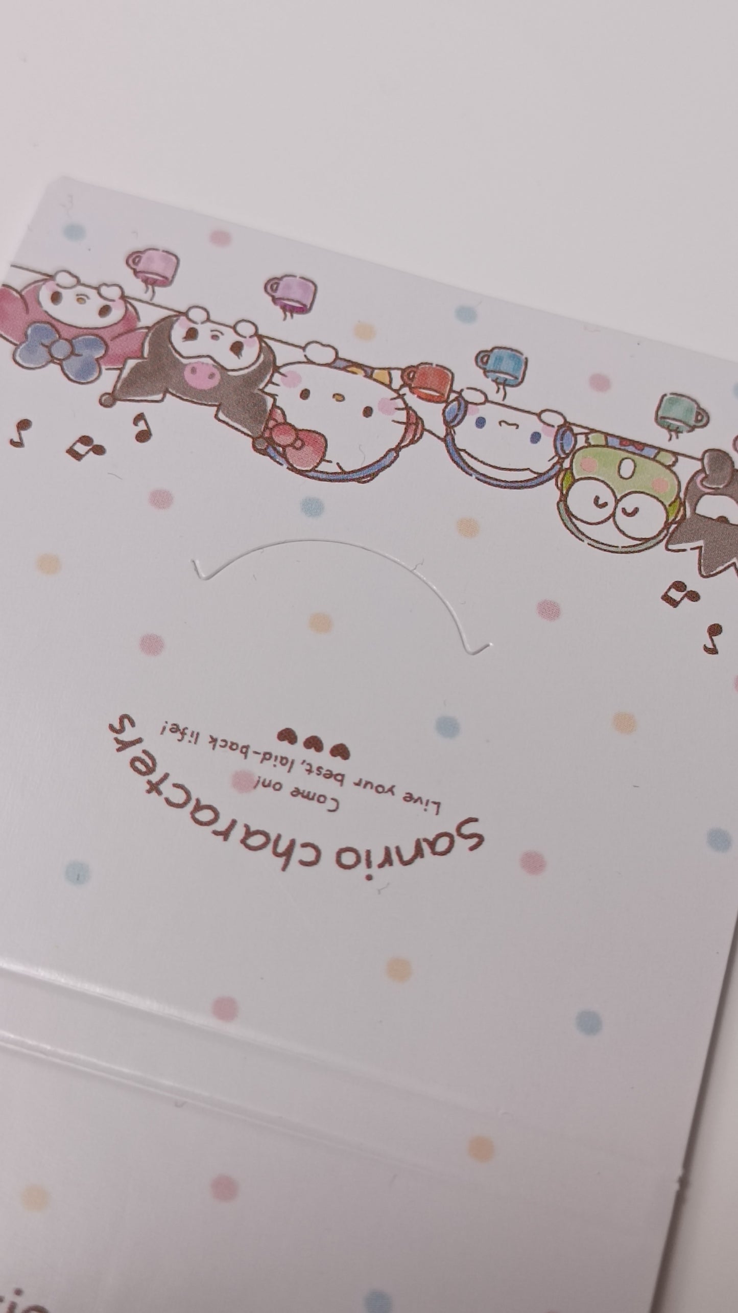 SANRIO CHARACTERS ~ SANRIO // INDEX STICKY NOTES & MEMO PAD SET