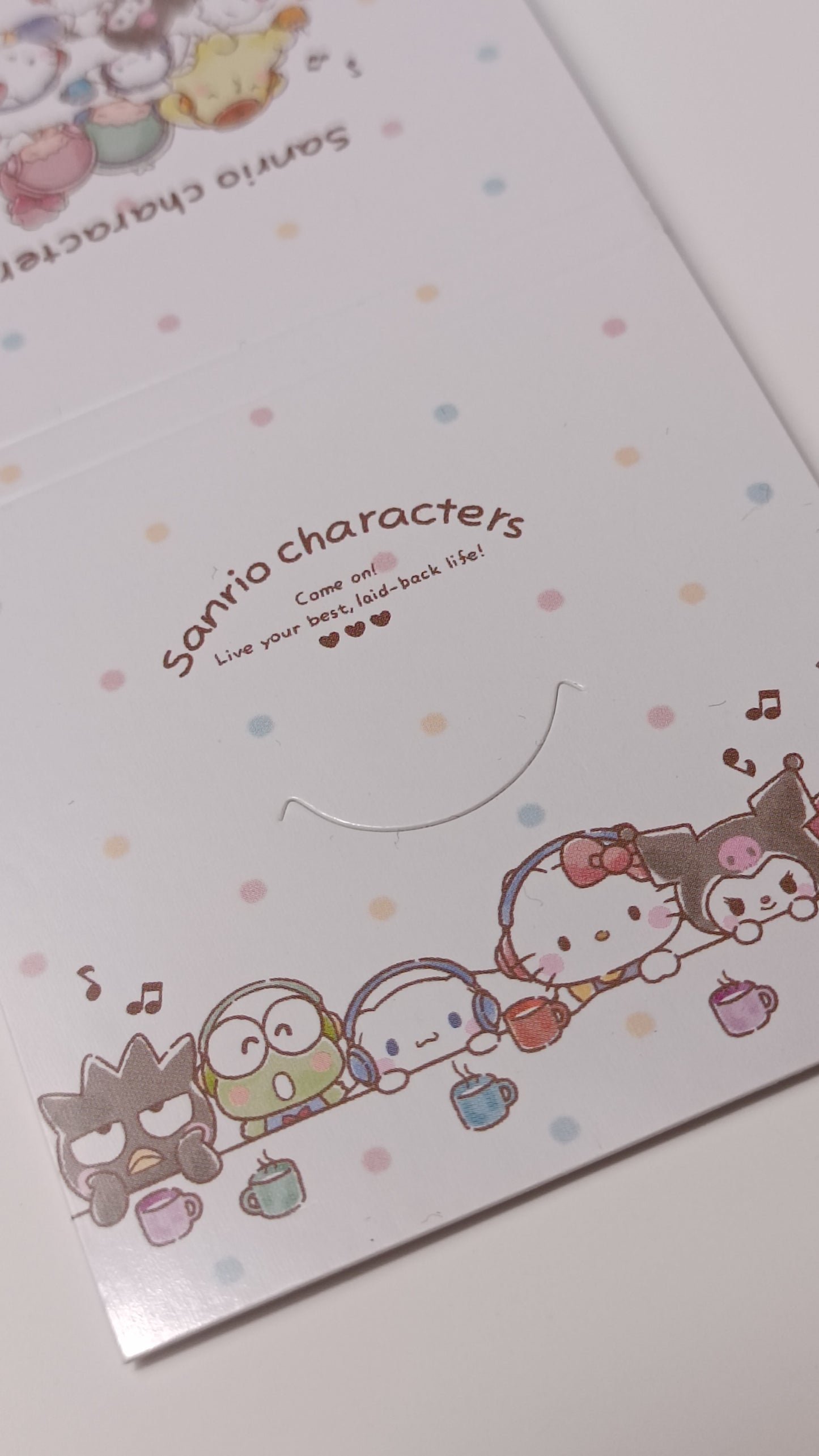 SANRIO CHARACTERS ~ SANRIO // INDEX STICKY NOTES & MEMO PAD SET