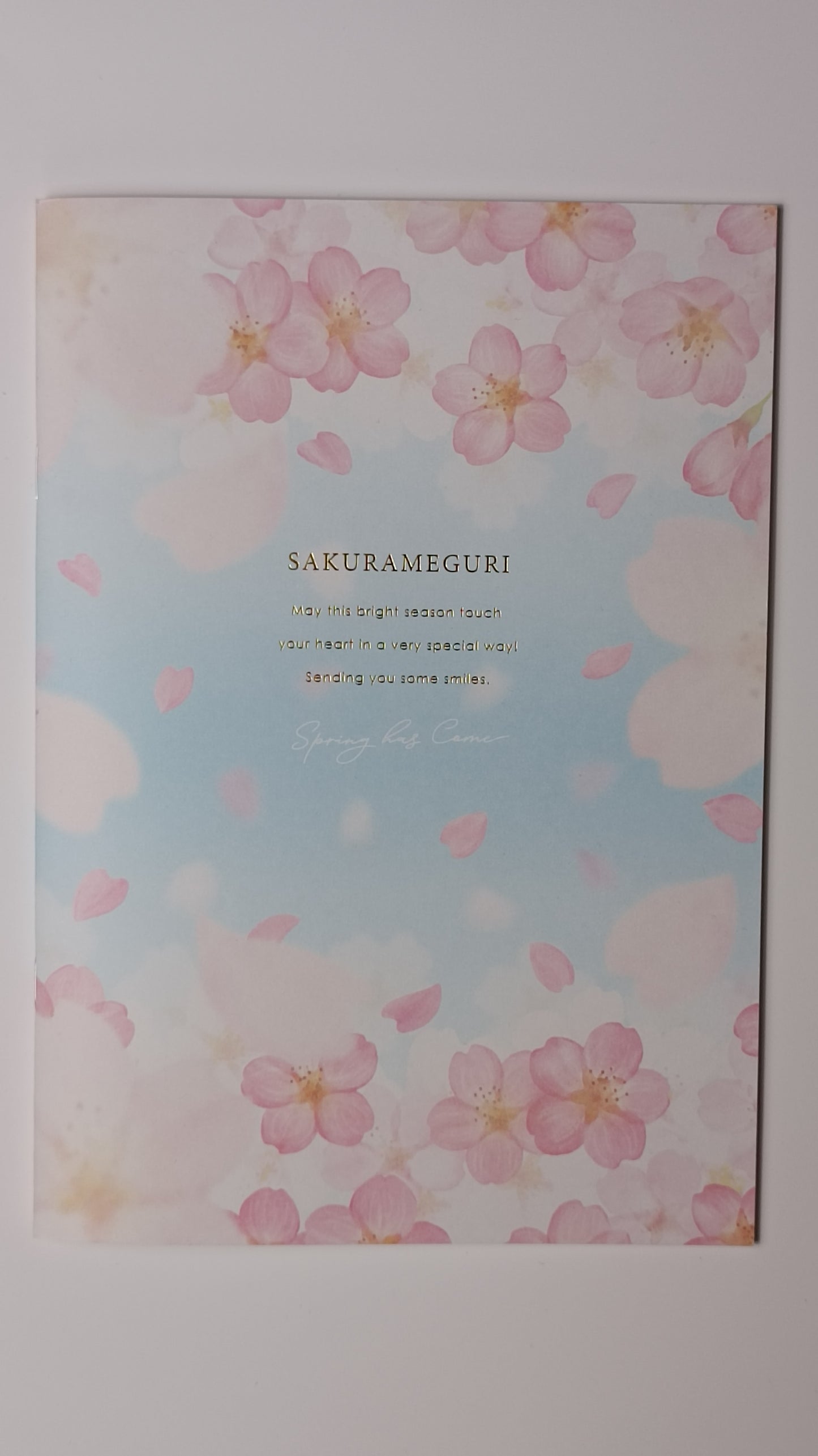 CHERRY BLOSSOMS & SKY ~ KYOWA // A5 NOTEBOOK
