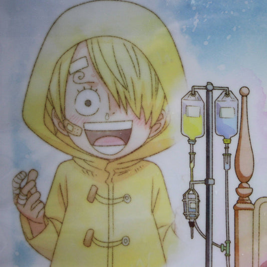 SANJI & SORA ~ ONE PIECE // CLEAR FILE + STICKERS