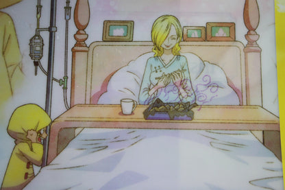 SANJI & SORA ~ ONE PIECE // CLEAR FILE + STICKERS