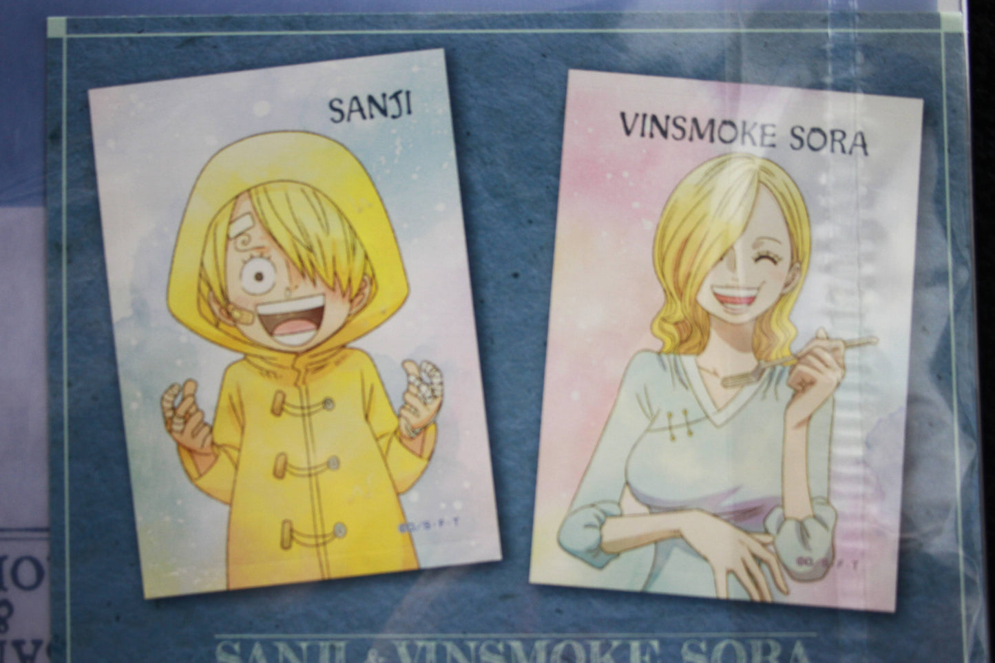 SANJI & SORA ~ ONE PIECE // CLEAR FILE + STICKERS
