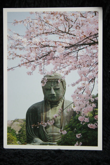 KAMAKURA DAIBUTSU // POSTCARDS PHOTO STYLE