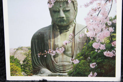 KAMAKURA DAIBUTSU // POSTCARDS PHOTO STYLE