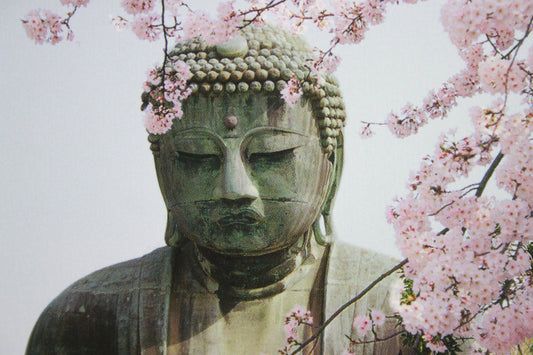 KAMAKURA DAIBUTSU // POSTCARDS PHOTO STYLE