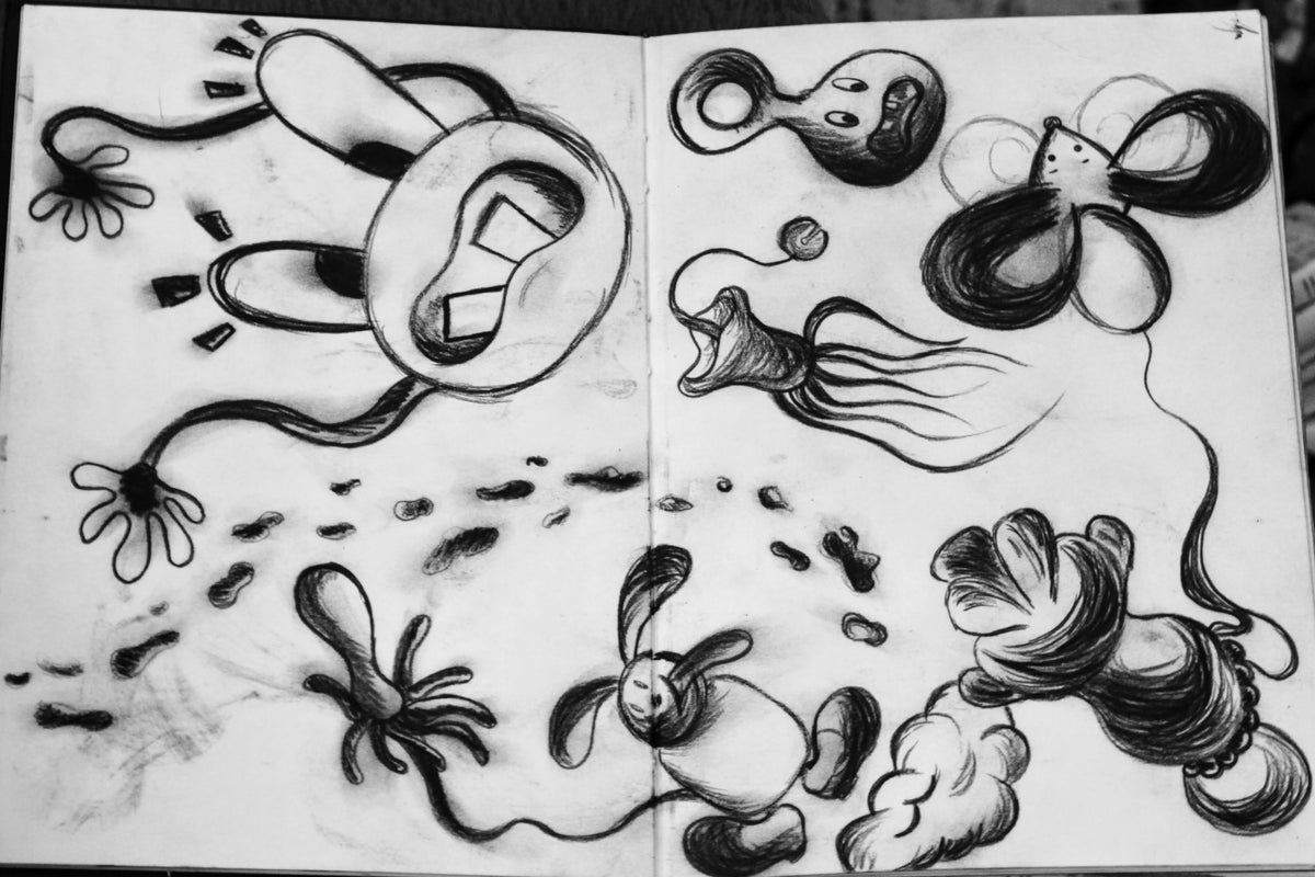 CHAOS