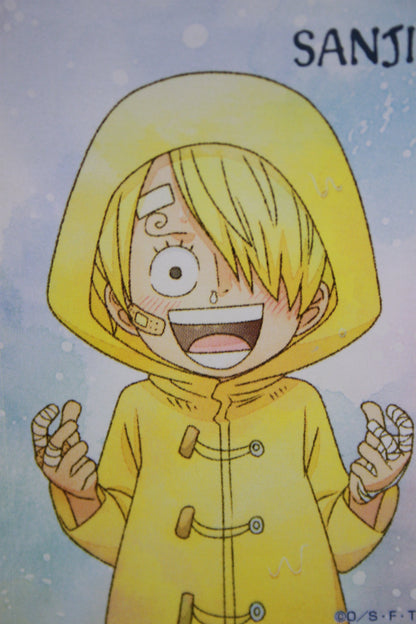 SANJI & SORA ~ ONE PIECE // CLEAR FILE + STICKERS