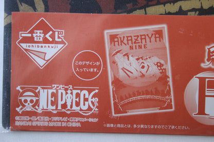 AKAZAYA NINE ~ ONE PIECE // VISUAL SHEET