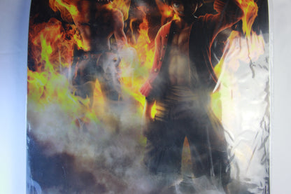 LUFFY & ACE ~ ONE PIECE // CLEAR POSTER