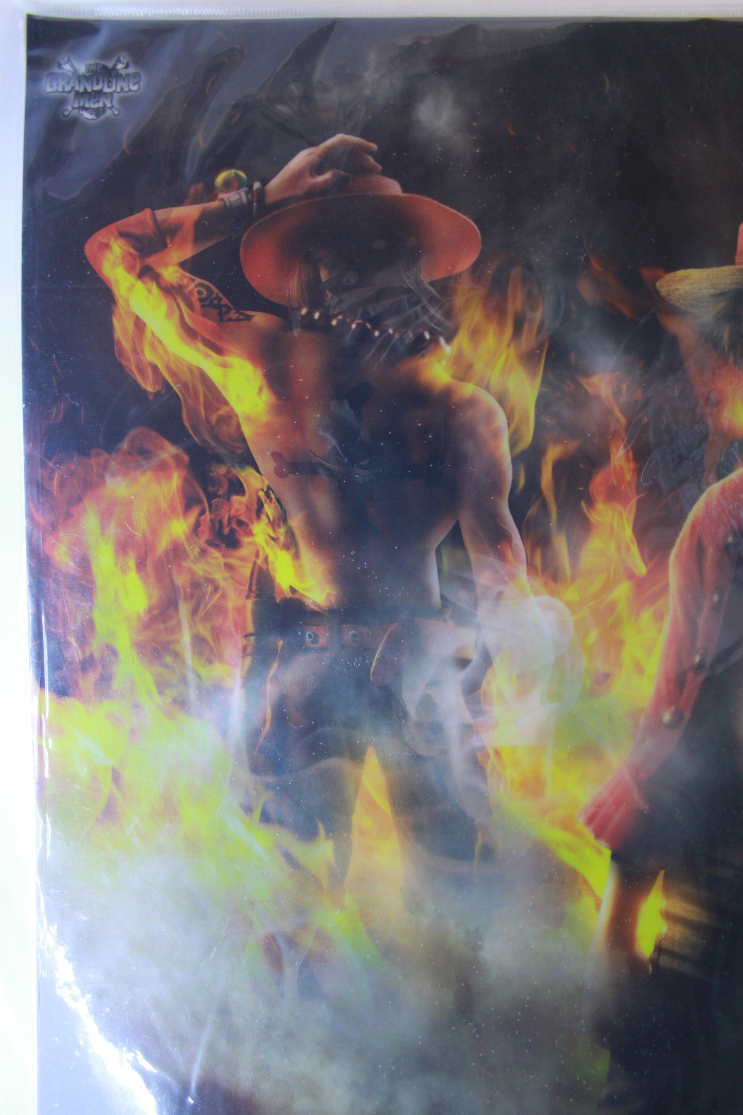 LUFFY & ACE ~ ONE PIECE // CLEAR POSTER