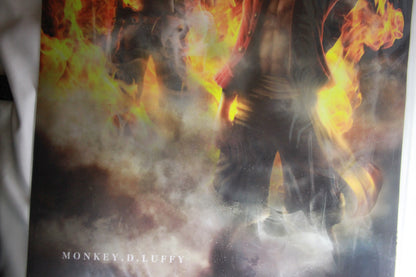 LUFFY & ACE ~ ONE PIECE // CLEAR POSTER