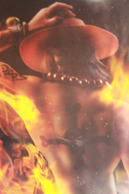 LUFFY & ACE ~ ONE PIECE // CLEAR POSTER