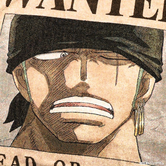 ONE PIECE ★ LARGE TOWEL ★ RONONOA ZORO ★ WANTED POSTERS // TOEI ANIMATION
