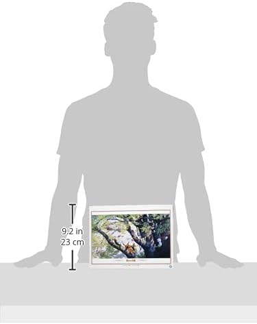 STUDIO GHIBLI ★ JIGSAW PUZZLES 1000 PIECES // ENSKY